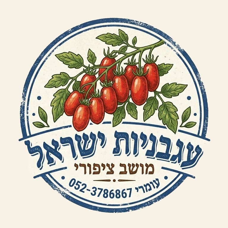 עגבניות משק ישראל